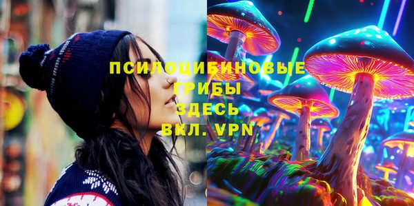 не бодяженный Гусь-Хрустальный