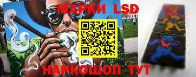 ПСИЛОЦИБИНОВЫЕ ГРИБЫ Гусь-Хрустальный