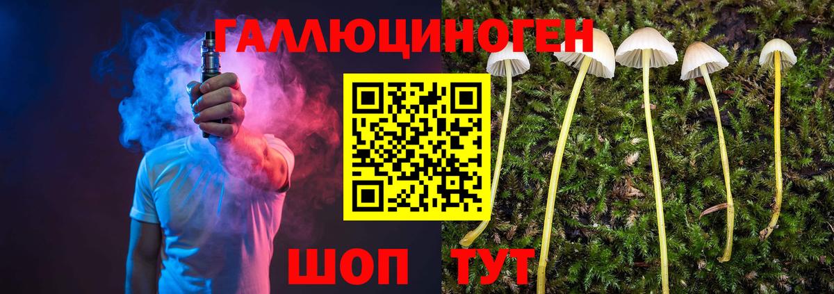 Псилоцибиновые грибы Magic Shrooms  Вход с VPN  Прокопьевск 