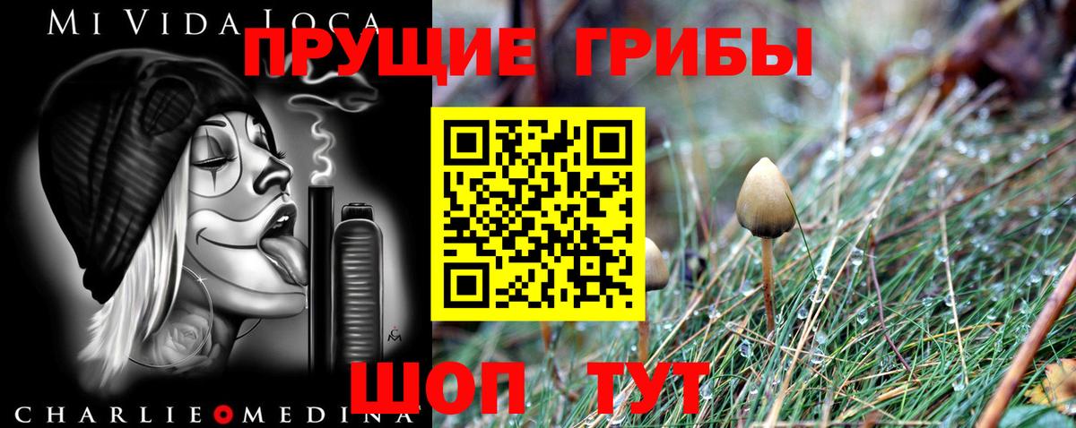 Галлюциногенные грибы Psilocybe Прокопьевск