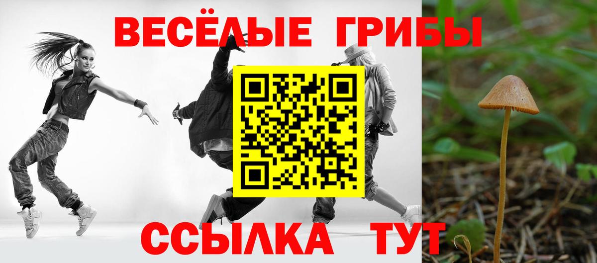 Галлюциногенные грибы Psilocybine cubensis Прокопьевск